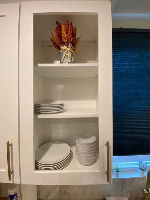 Desirable Lawrenceville Area Apartment Pittsburgh